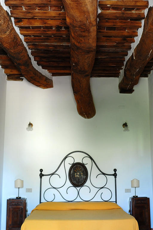Agriturismo Castello Saltemnano Buonconvento Zimmer foto